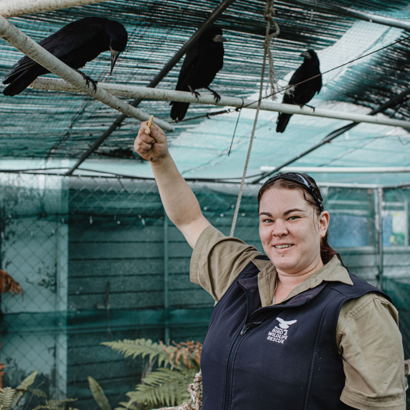 Liv Flynn – HB Bird and Wildlife Rescue Trust