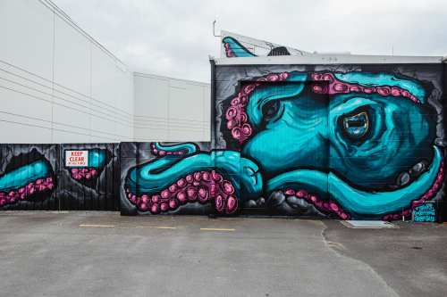 Greenmeadows Octopus Mural Sept 2021 1